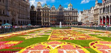 5-day Belgium Private Sightseeing Tour from Brussels