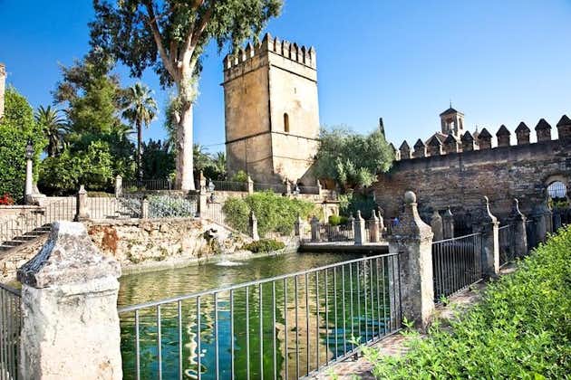 Recorrido a pie por Córdoba con experiencia en los baños árabes