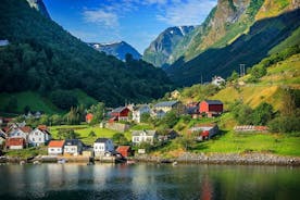 Bergen: Sognefjord 크루즈로 Flam까지 개인 왕복 여행