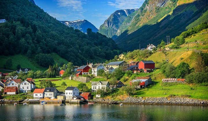 Bergen: Privat rundtur til Flåm med Sognefjordcruise
