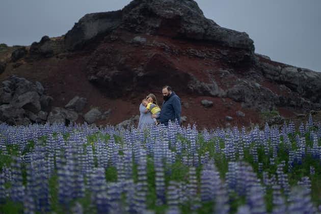 冰岛全日私人黄金圈摄影之旅