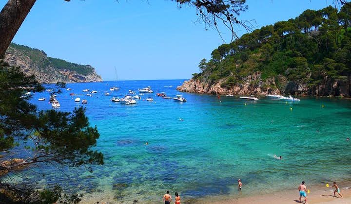 Girona and Costa Brava Small-Group Tour with Hotel Pickup from Barcelona