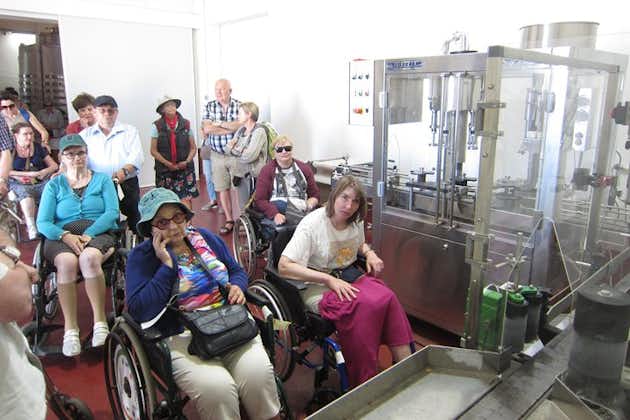 Accessible Valencia: Private, Accessible Wine Tour with Lunch