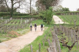 Saint-Émilion by bike Gravel: picnic and wine tasting
