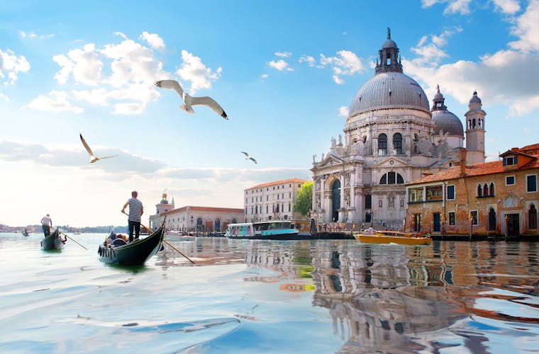 Seagulls and old cathedral of Santa Maria della Salute in Venice, Italy