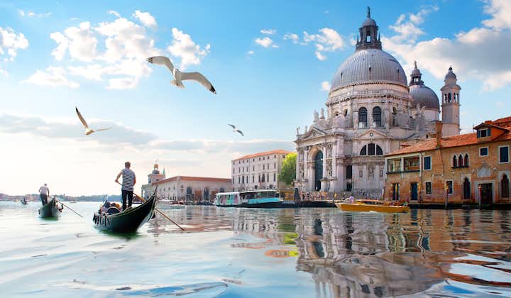 Seagulls and old cathedral of Santa Maria della Salute in Venice, Italy