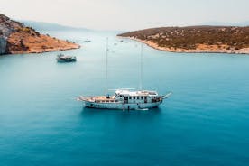 Excursion d'une journée complète en bateau sur l'île de Salamina