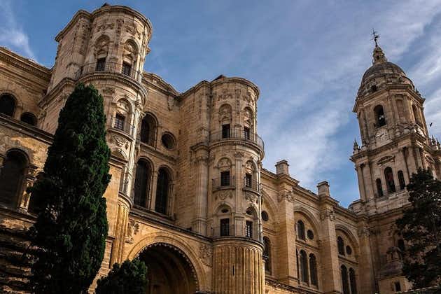 Malaga-turné med katedralen, Alcazaba och den romerska teatern