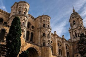 Malaga Tour with Cathedral, Alcazaba and Roman Theatre 