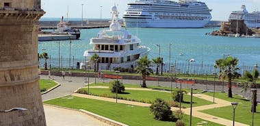 Civitavecchia Privat Transfer: Sentral Roma til Civitavecchia Cruise Port