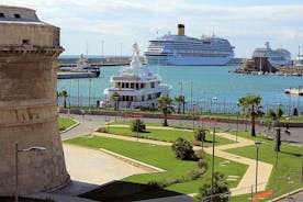 Civitavecchia Privat Transfer: Centrale Rom til Civitavecchia Cruise Port