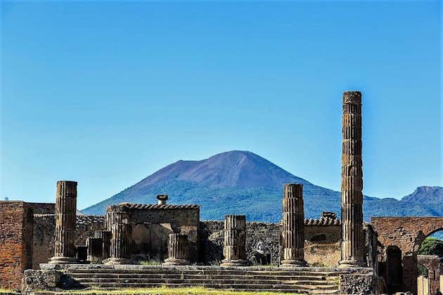 Full-Day Pompeii - Vesuvius - Winery Lunch Experience Private Tour