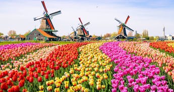 Springtime in Holland (port-to-port cruise) - DOUCE FRANCE