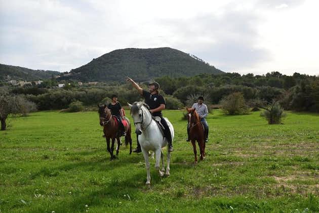 Passeggiate a cavallo nelle valli di Randa, Maiorca, Spagna
