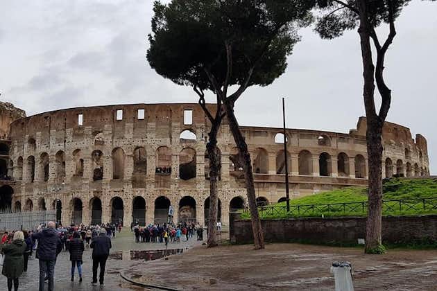4-uur durende Rome-tour met privéchauffeur