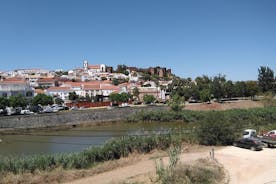 Algarve com degustação de vinho em duas propriedades vinícolas e almoço na cidade histórica de Silves