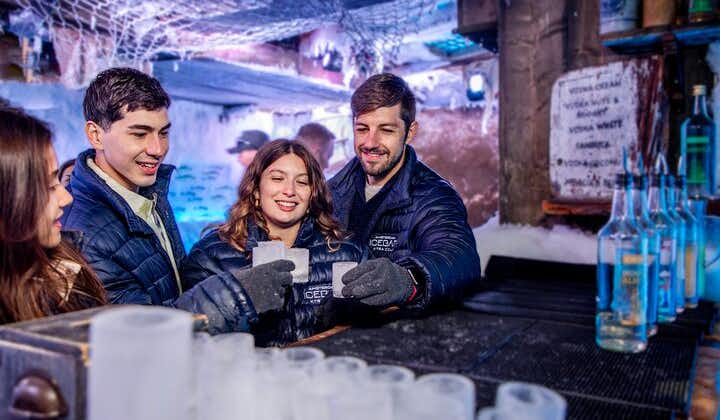 Amsterdam Ice Bar Experience Including 3 Drinks