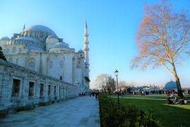 Istanbul Layover Tour with a Local: 100% Personalized, Private & Flexible 