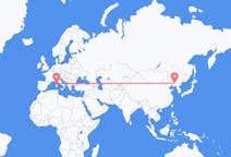 Flyrejser fra Shenyang, Kina til Figari, Frankrig