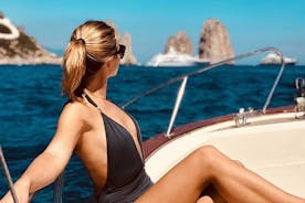 Halvdagstur till Capri med privat båt