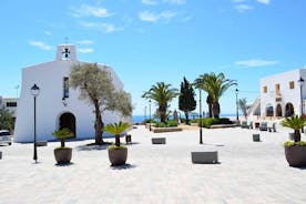 Ibizan eteläpuolen saaren rantaretki