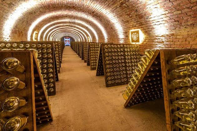 Billet d'entrée à L'univers des caves de vin mousseux Schlumberger à Vienne