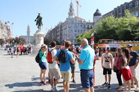 Ciudad de Oporto: Tour Privado de Medio Día