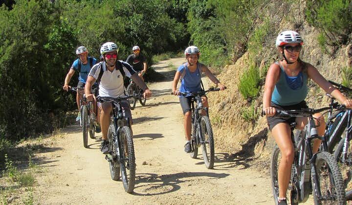 Small Group E-bike Tour in the Ligurian Riviera with Lunch