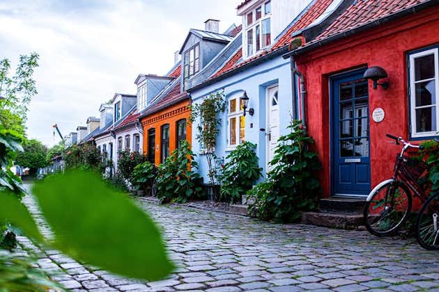 Explore Aarhus in 1 hour with a Local