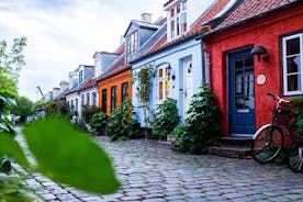 Explore Aarhus in 1 hour with a Local
