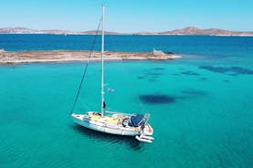Allt inkl. Mykonos: Delos & Rhenia beach upp till 12 pax-fri trans
