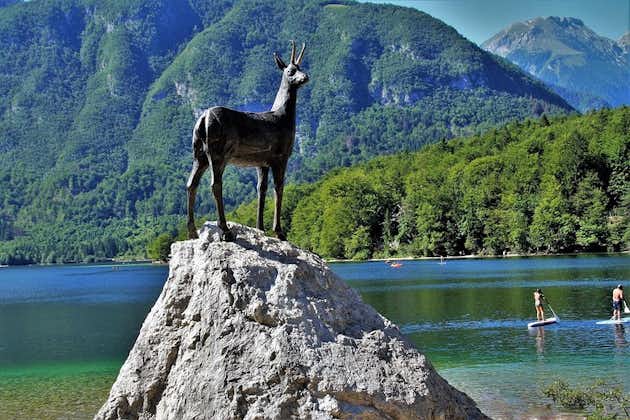 Magia delle Alpi, Triglav NP con il Lago di Bohinj e Cascata Savica, Viaggio HD da Ljub