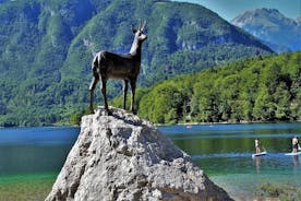 Magi av Alpene, Triglav NP med Lake Bohinj & Foss Savica, HD tur fra Ljub