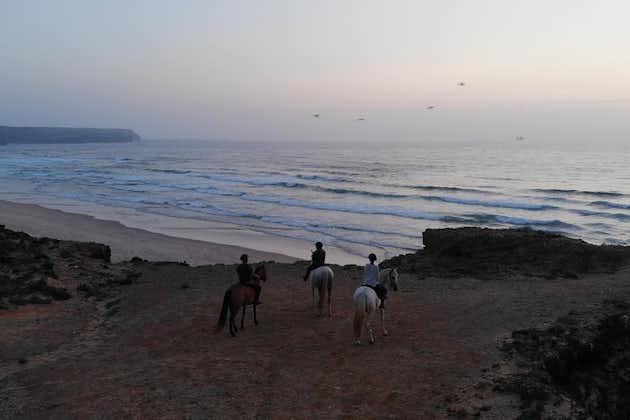 Bordeira Beach - Tour a cavallo al tramonto o all'alba