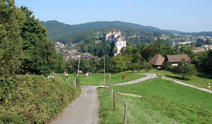 11-Day Private Lite Tour Across Switzerland by Bike from Geneve