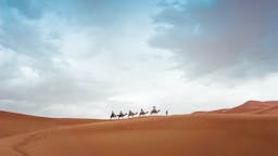 Camel rides in Goreme, Turkey