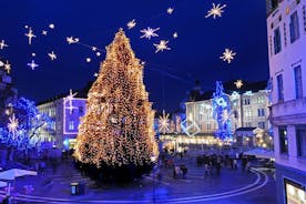 Ljubljana Christmas Market Tour from Trieste