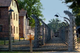 Bilhete de entrada da excursão ao vivo em Auschwitz e Birkenau