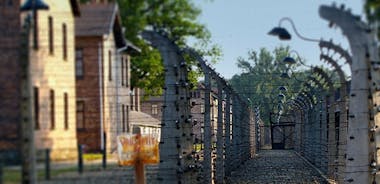 Auschwitz & Birkenau Live Guide Tour Entré Ticket