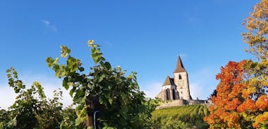 ICONICS 투어: 와인 루트 반나절, 마을 2곳 방문 + 시음.