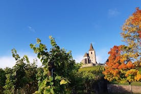 ICONICS 투어: 와인 루트 반나절, 마을 2곳 방문 + 시음.