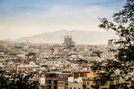 Privat direktöverföring från Bilbao till Barcelona, engelsktalande förare