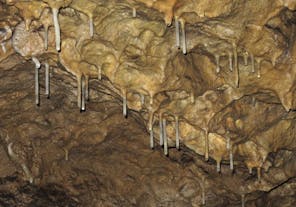Brestovská cave