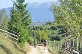 Ruta de senderismo para grupos pequeños por el Parque Nacional Piatra Craiului desde Brasov