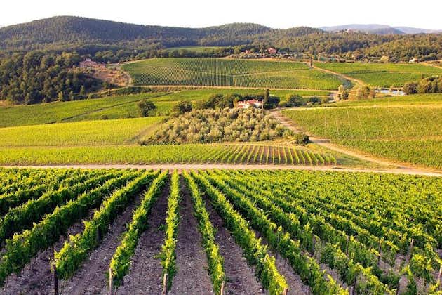 Anciennes villes viticoles : Montalcino, San Gimignano et Chianti