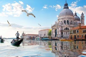 Private Tour from Naples: Venice Full Day Tour by Train