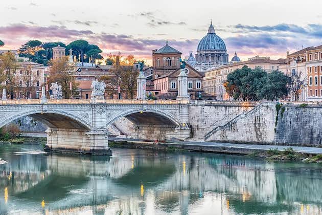 Rome en demi-journée: visite privée en voiture et visite de groupe du musée du Vatican