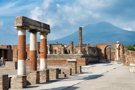 Pompeii and Mount Vesuvius Wine Tasting Private Tour from Amalfi