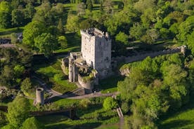 Viagem diurna ao Castelo de Blarney saindo de Dublin