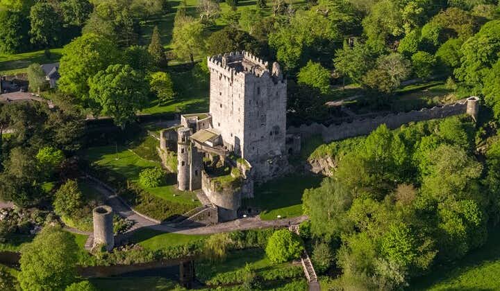 Blarney Castle Day Trip fra Dublin